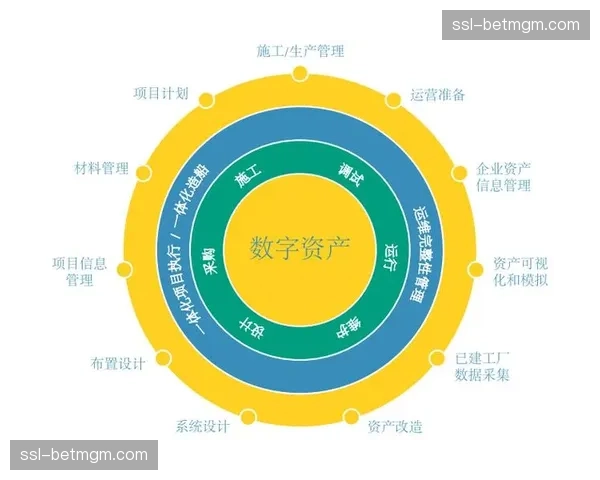 发展周期内，体育数字资产正从附属品转变为核心战略资源。