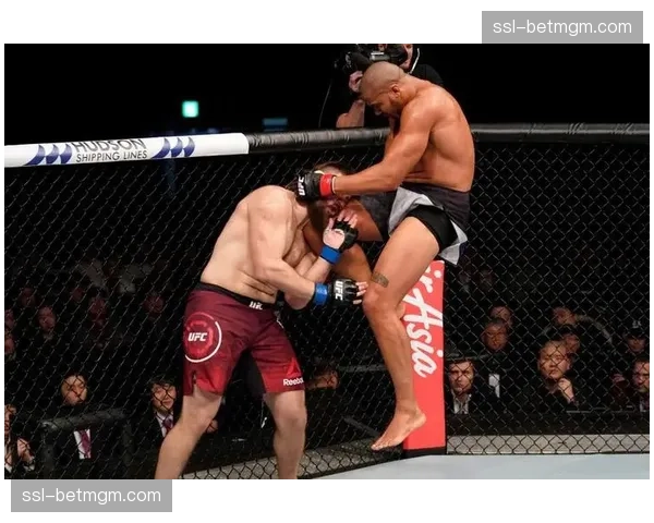 资深裁判赫伯·迪恩前瞻UFC 300:需重点关注地面缠斗阶段 资深裁判赫伯·迪恩前瞻UFC 300:需重点关注地面缠斗阶段