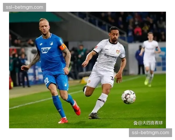 霍芬海姆边后卫大卫·劳姆助攻能力较强，场均传中次数达3.2次